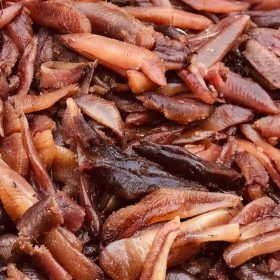 Fresh Herring Roe بطارخ رنجه مخرزه طازجه
